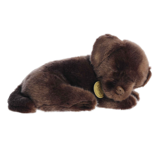 Sleepy Chocolate Lab Pup