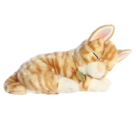 Sleepy Orange Tabby Kitten