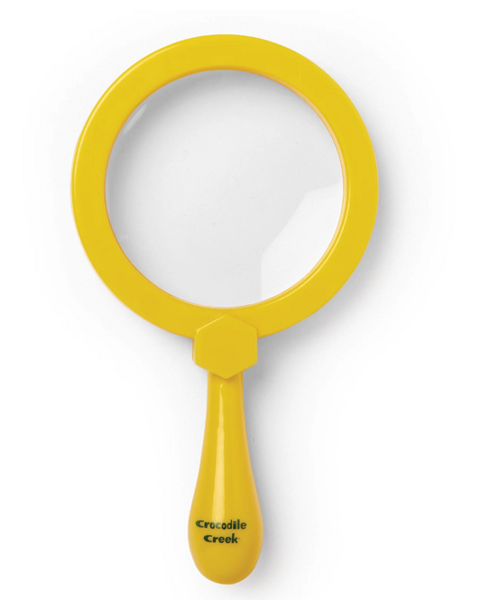 Magnifying Glass, Backyard