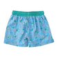 Marina Gingham Turtle Print Boys' Boogie Board Swim Trunk