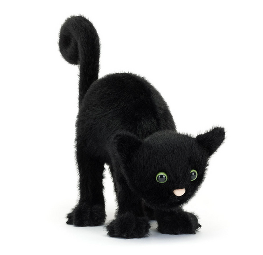 Spookipaws Cat