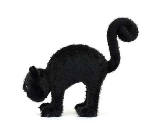 Spookipaws Cat