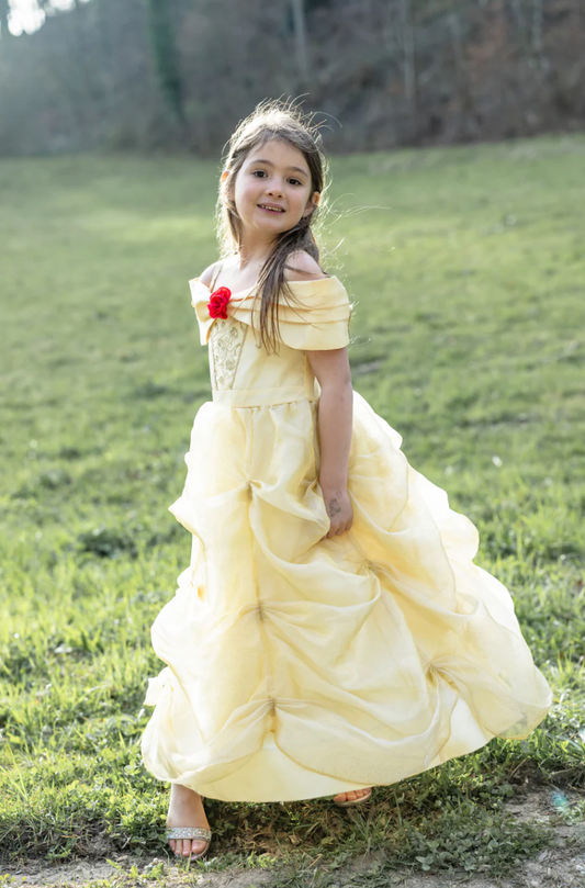 Once Upon a Princess Beauty Dress