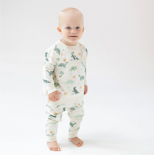 Green Raglan Sweatshirt and Jogger Set, Soft Dinos