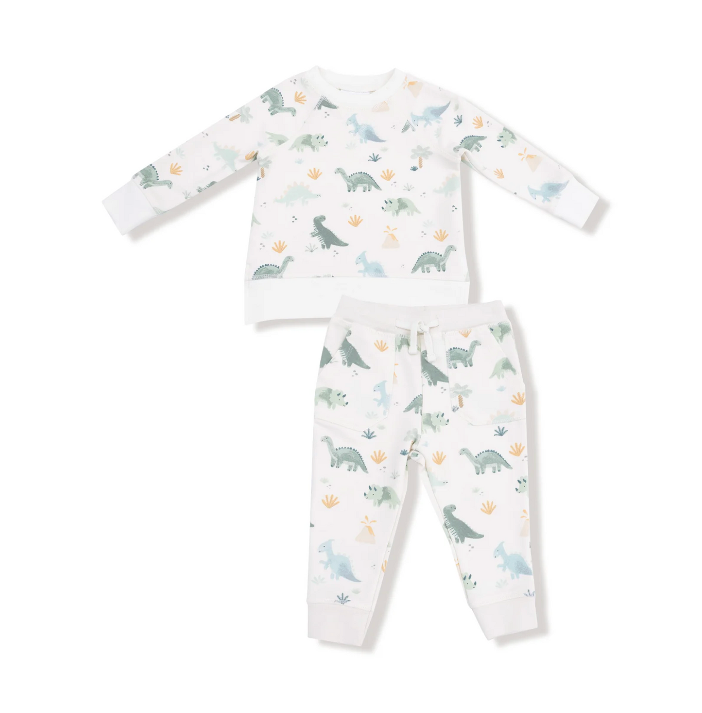 Green Raglan Sweatshirt and Jogger Set, Soft Dinos