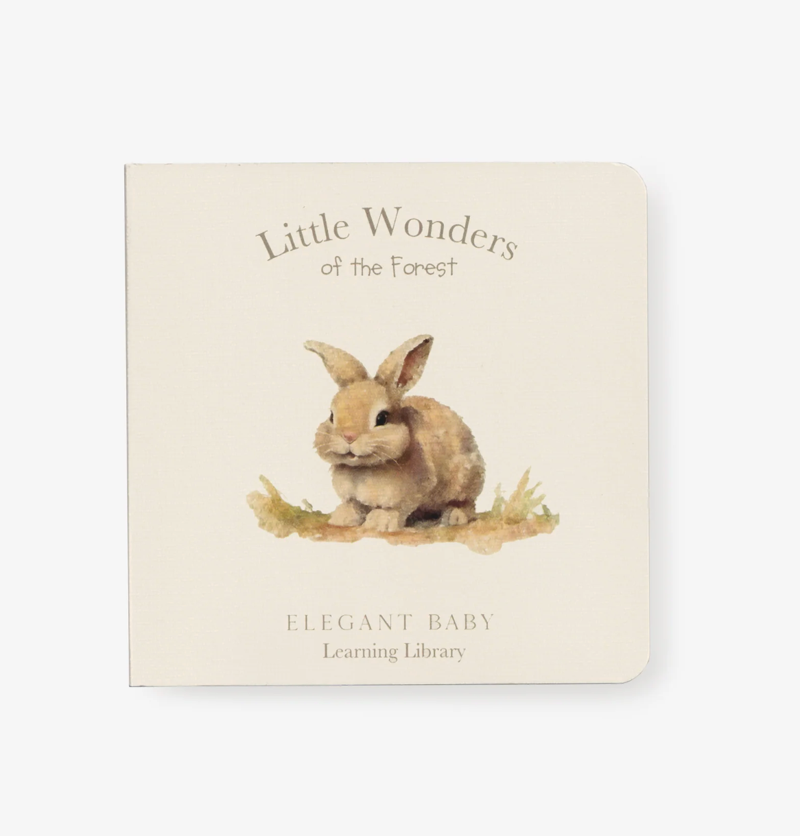 Little Wonders Forest Board Book