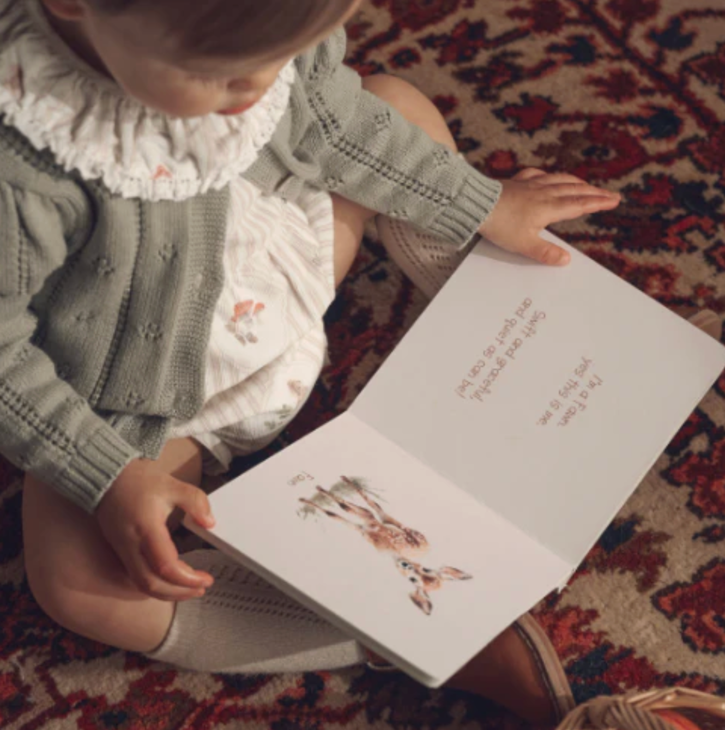 Little Wonders Forest Board Book