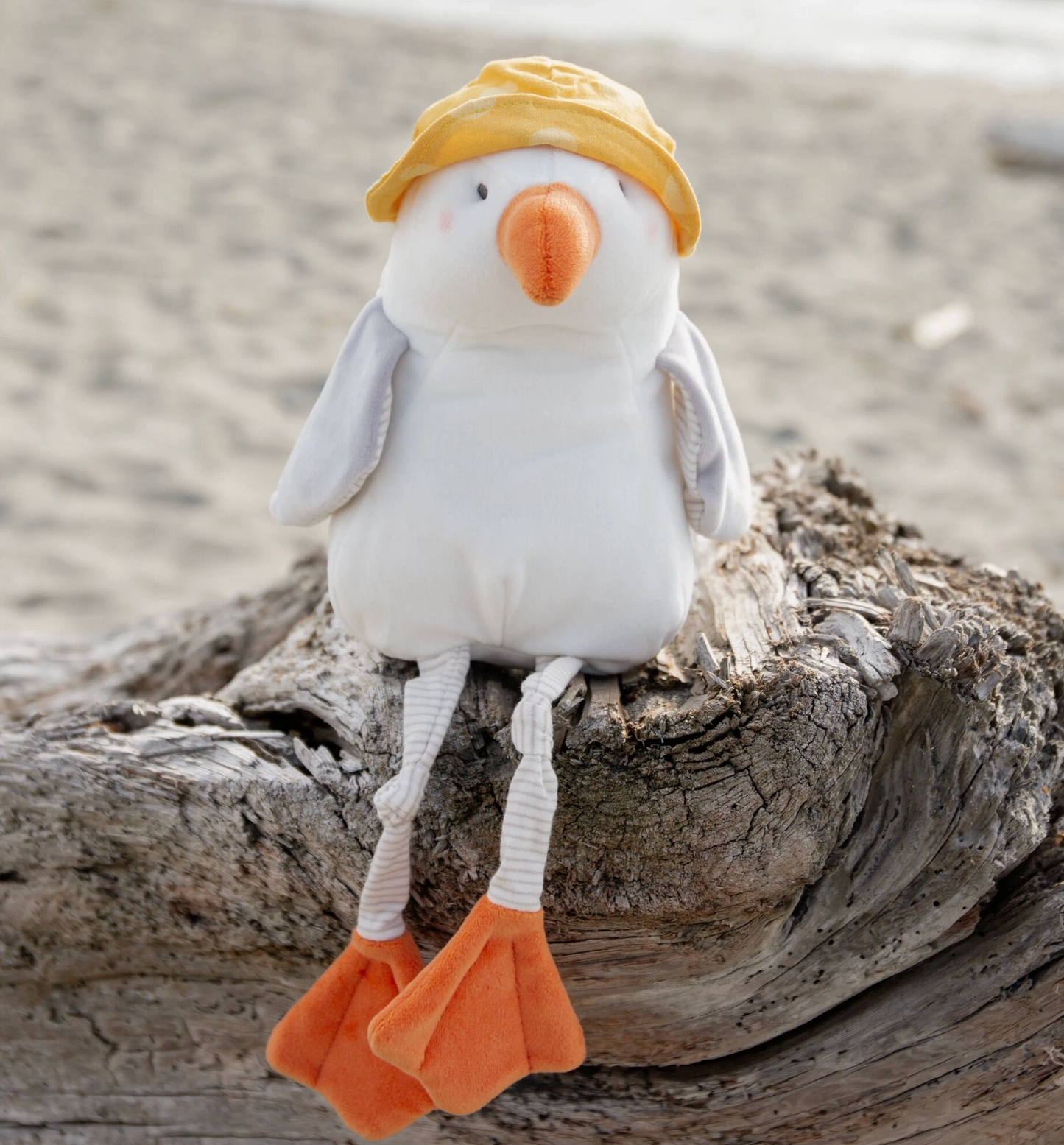 Gulliver the Seagull