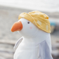 Gulliver the Seagull