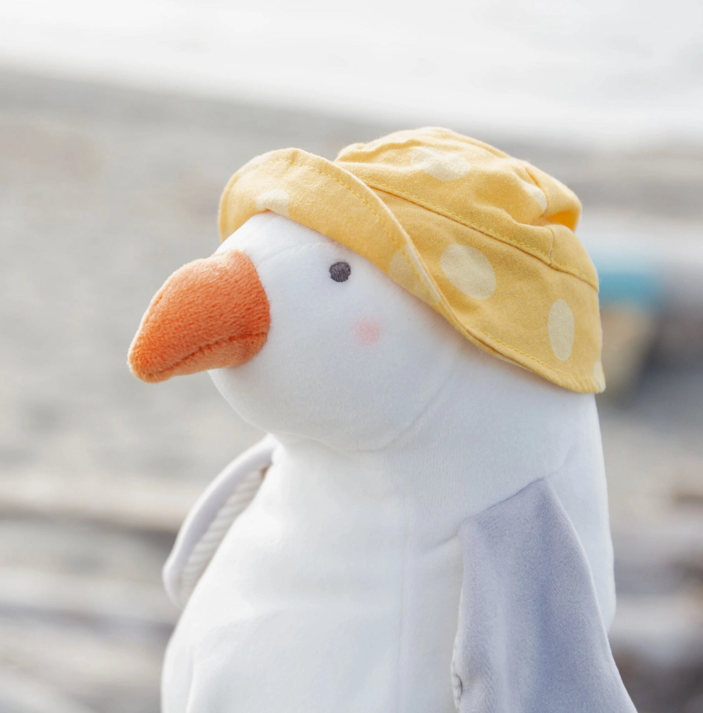 Gulliver the Seagull