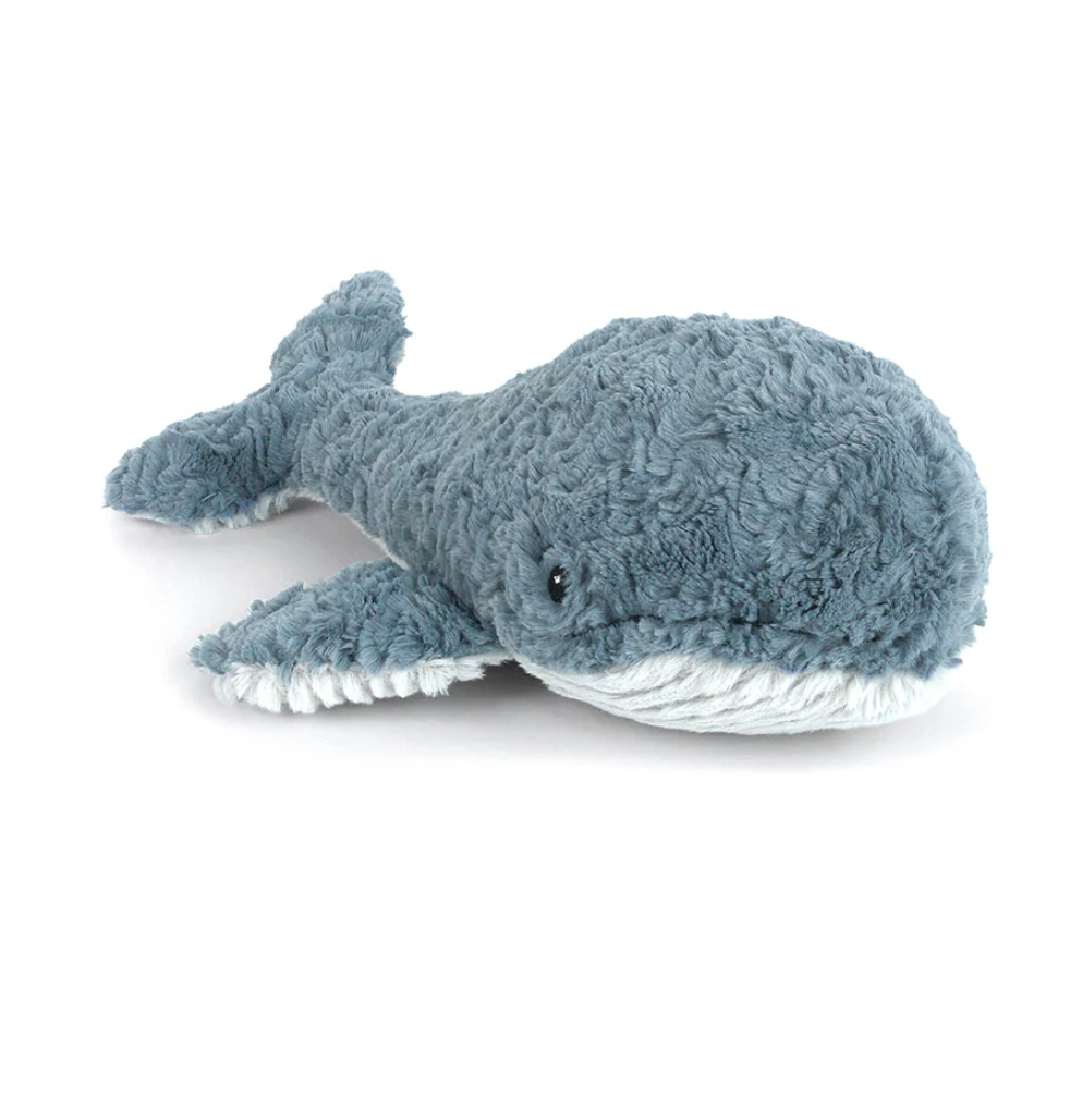 Waverly Whale