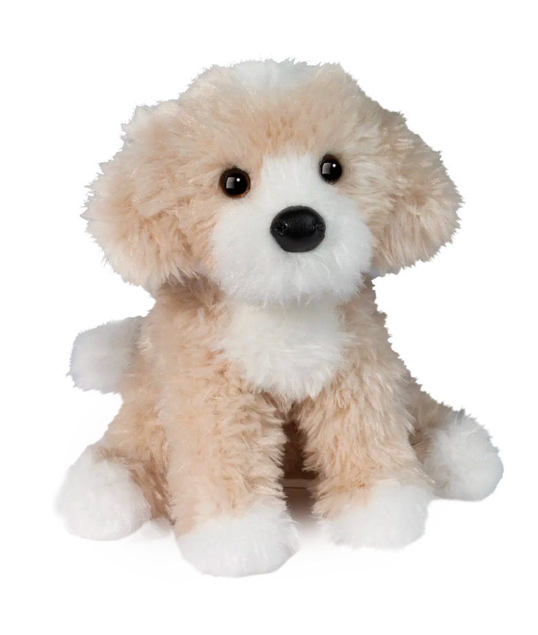Darcy Goldendoodle