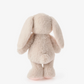 Plush Bunny Friend