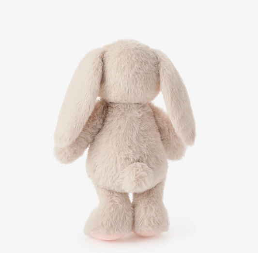 Plush Bunny Friend