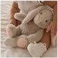 Plush Bunny Friend