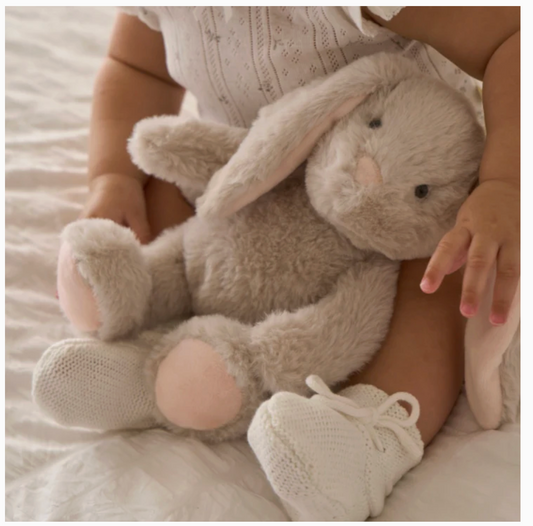 Plush Bunny Friend