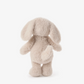 Plush Puppy Friend