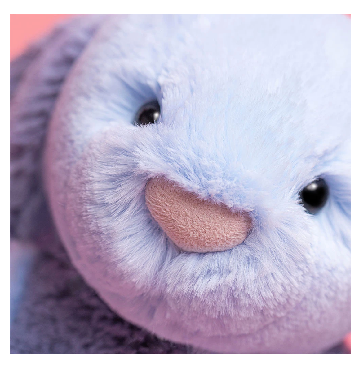 Puddlesea Bunny