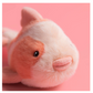 Fancy Carp