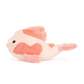 Fancy Carp