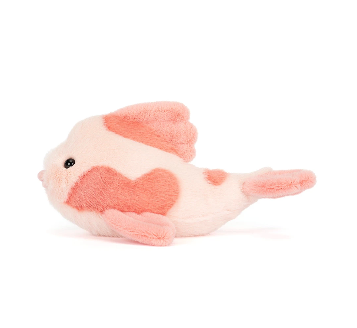 Fancy Carp