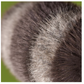 Trixiwoo Raccoon