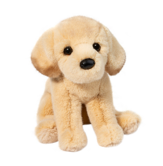 Ace Yellow Lab