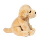 Ace Yellow Lab