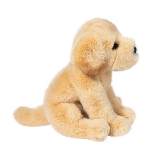 Ace Yellow Lab