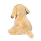 Ace Yellow Lab
