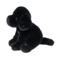 Ford Black Lab