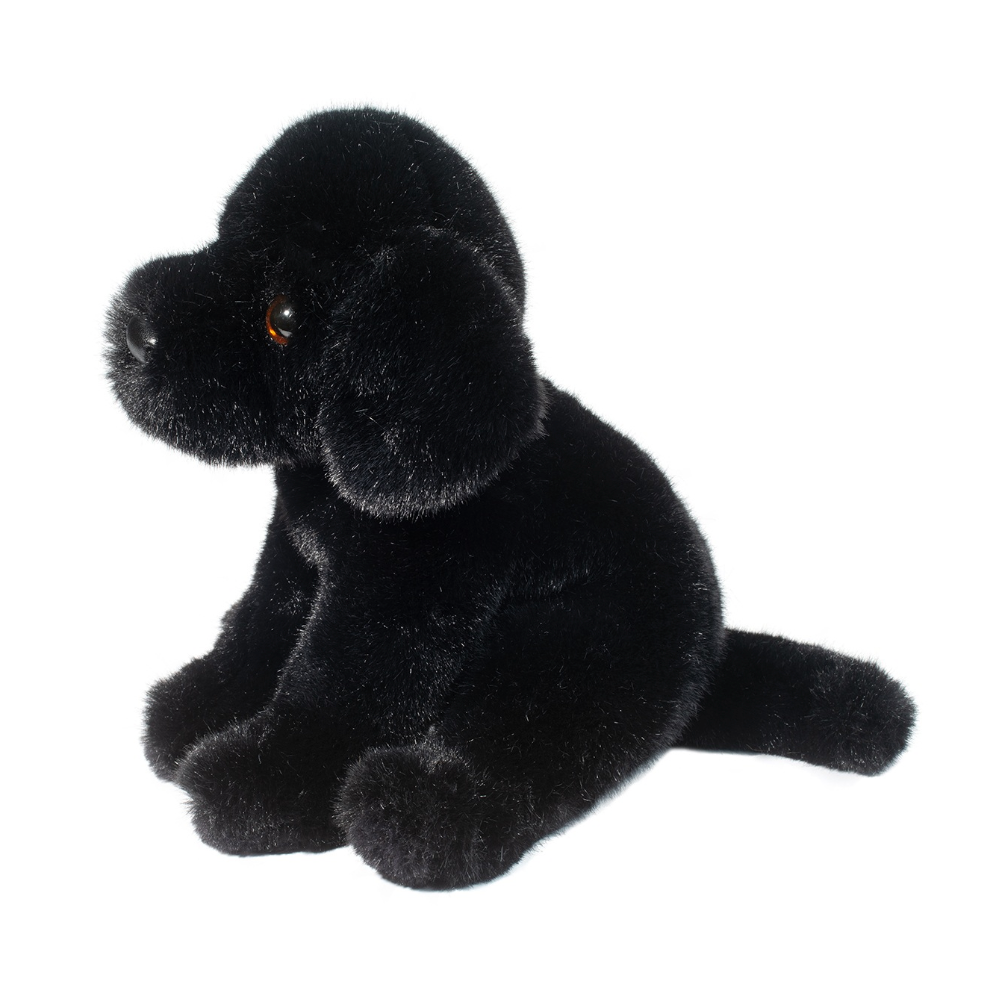 Ford Black Lab
