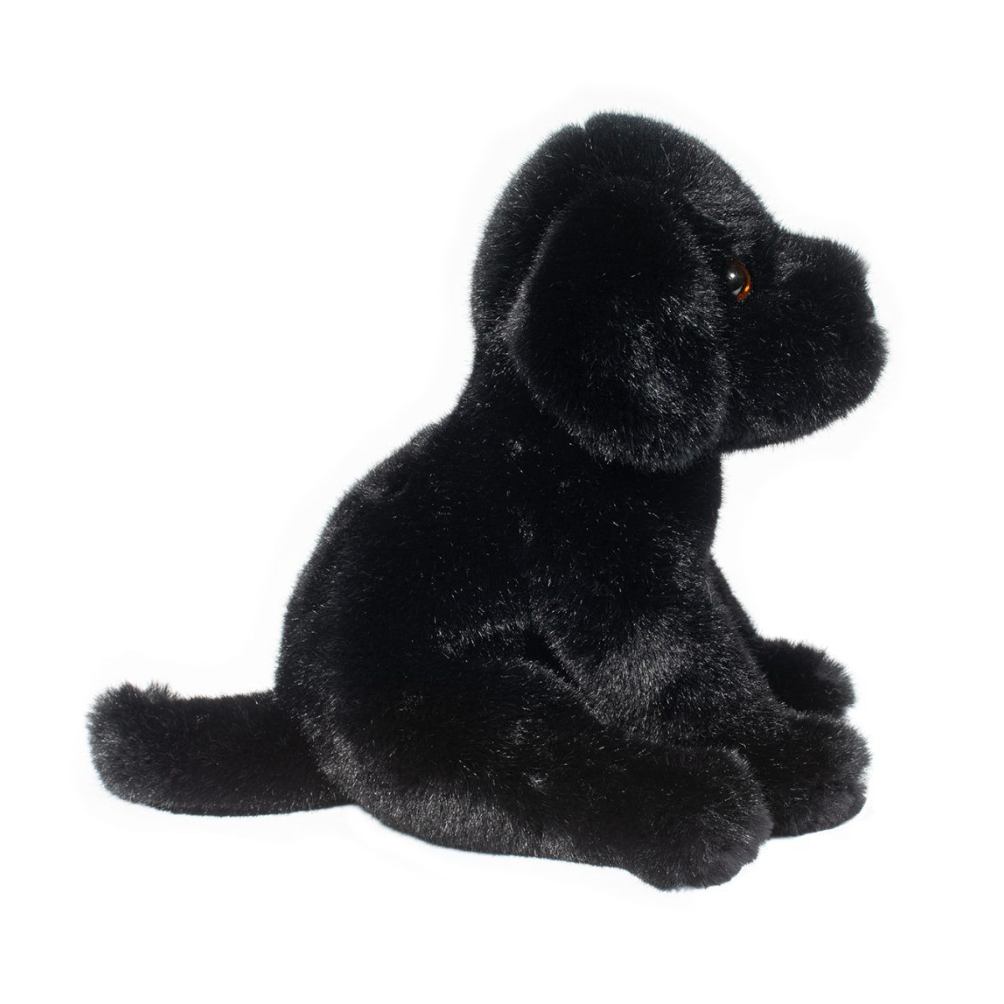 Ford Black Lab