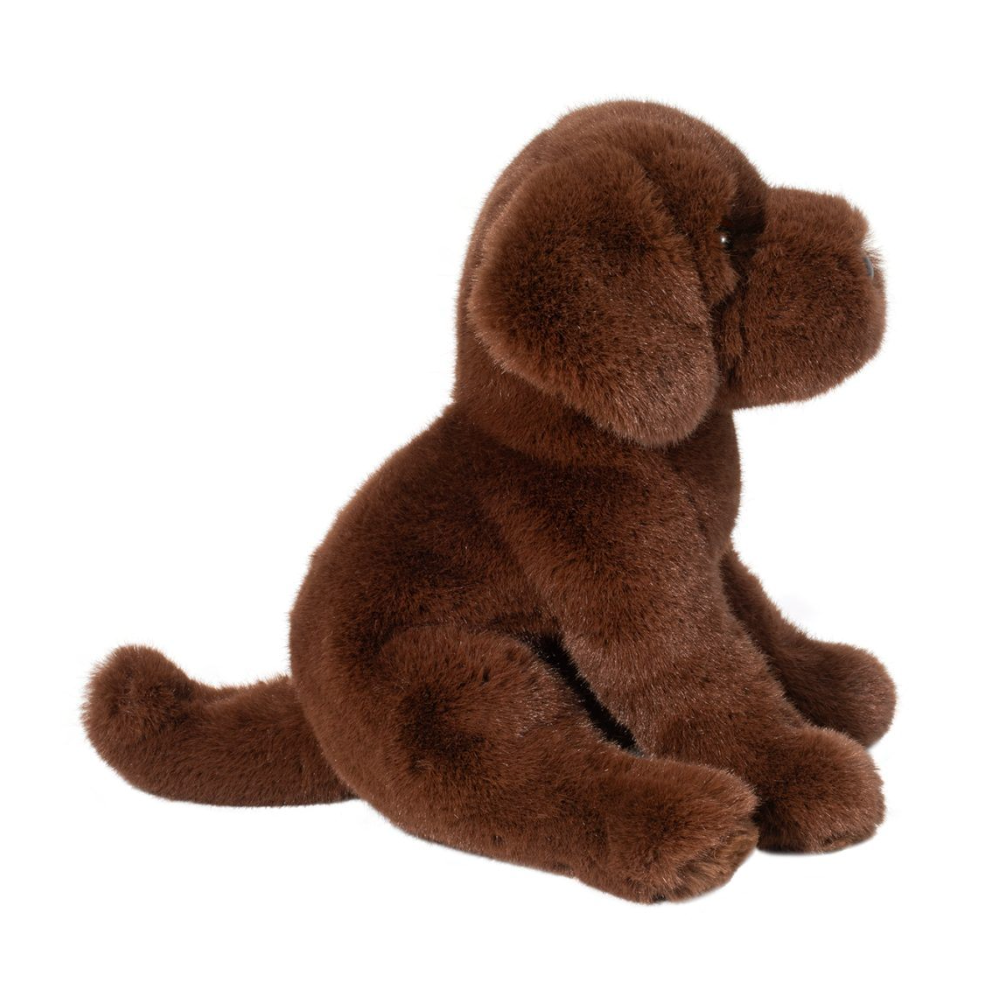 Zoom Chocolate Labb