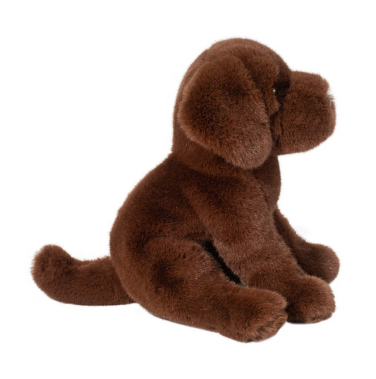 Zoom Chocolate Labb