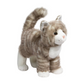 Zipper Gray Tabby