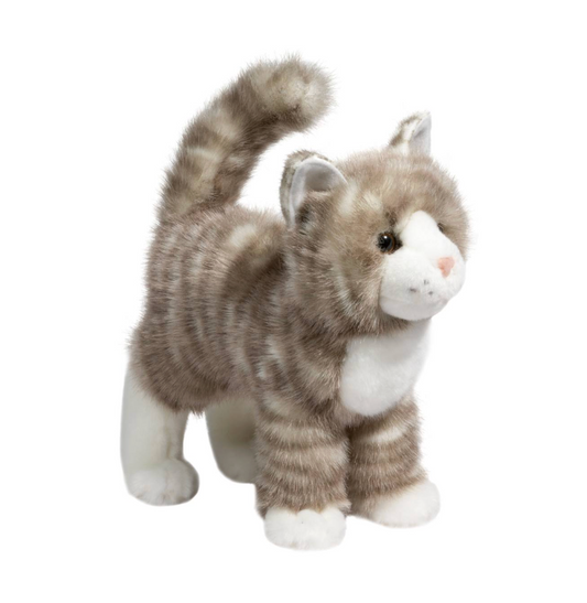 Zipper Gray Tabby