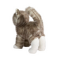 Zipper Gray Tabby