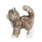 Zipper Gray Tabby