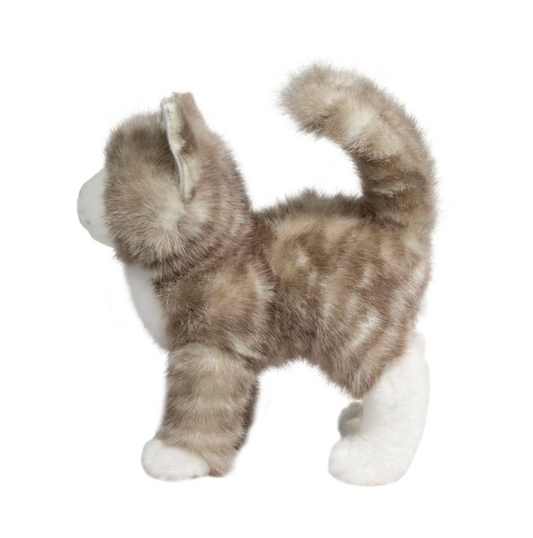 Zipper Gray Tabby