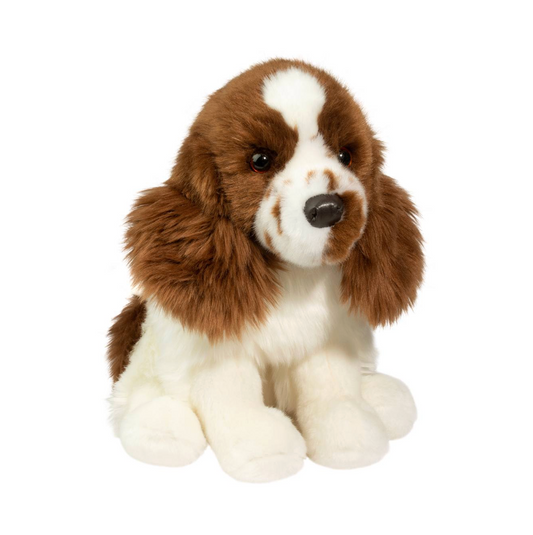 Chip Springer Spaniel