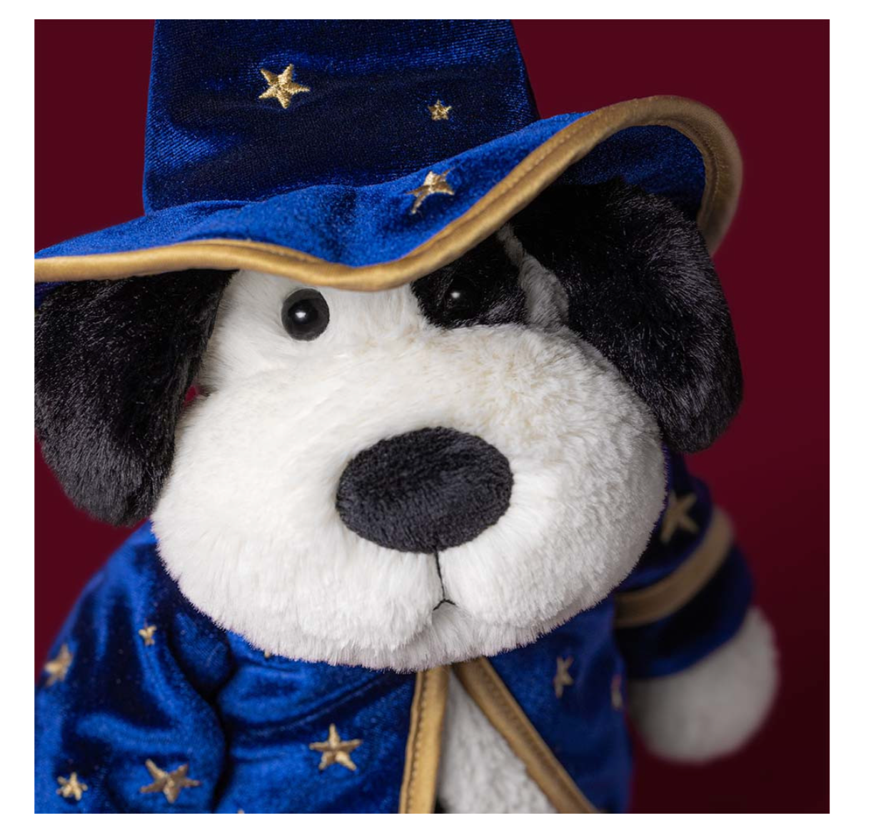 Rufferty Puppy Wizard Outfit