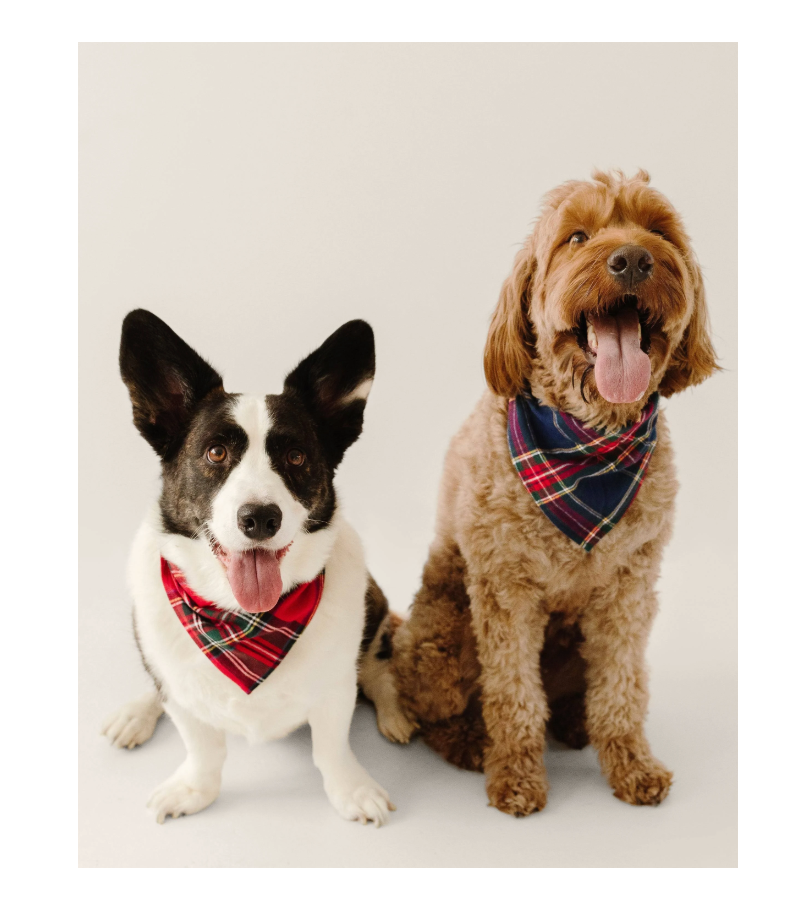 Dog Bandana Imperial Tartan
