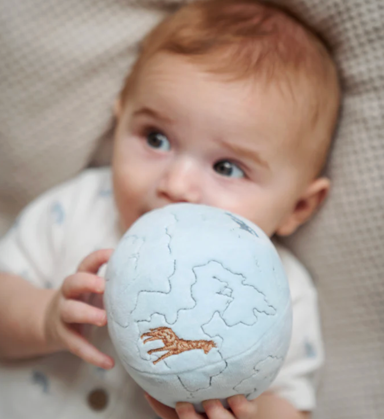 World Explorer Globe Plush Rattle