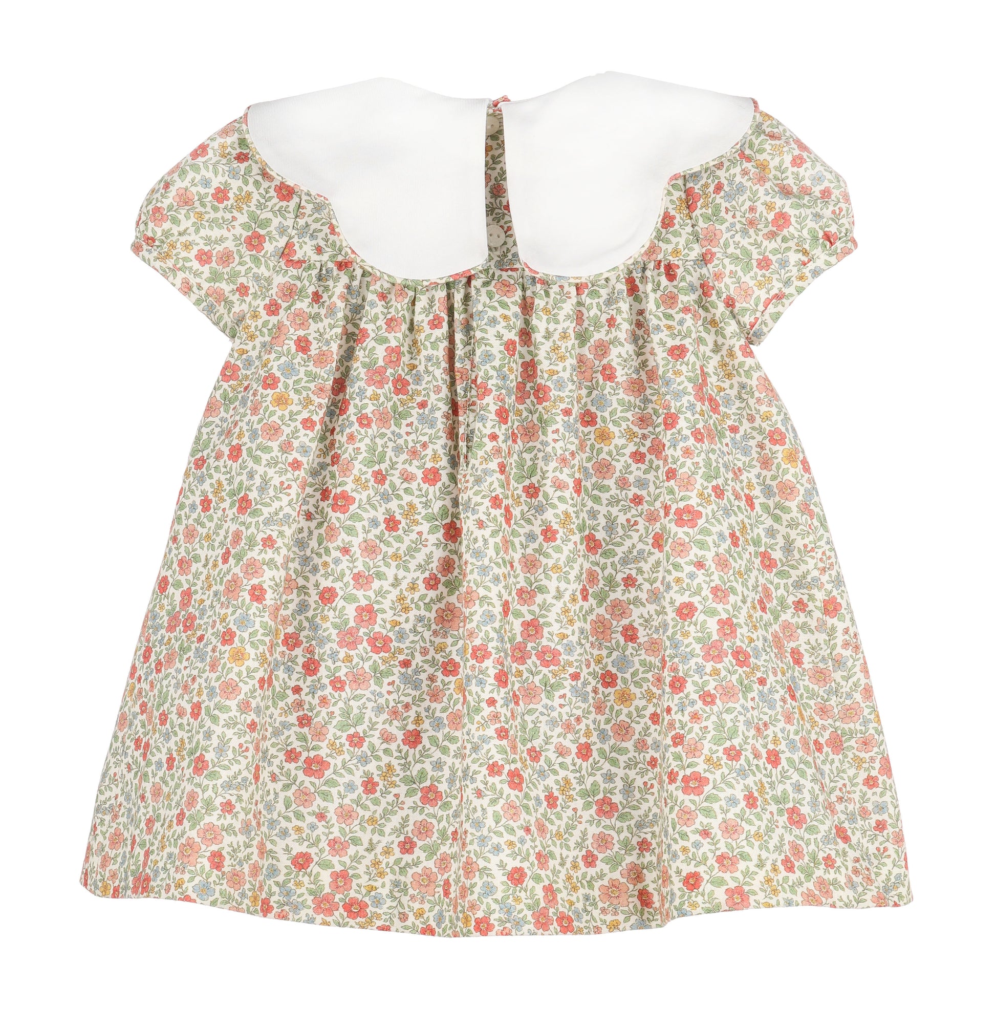 Floral dress with a white collar on a white background
