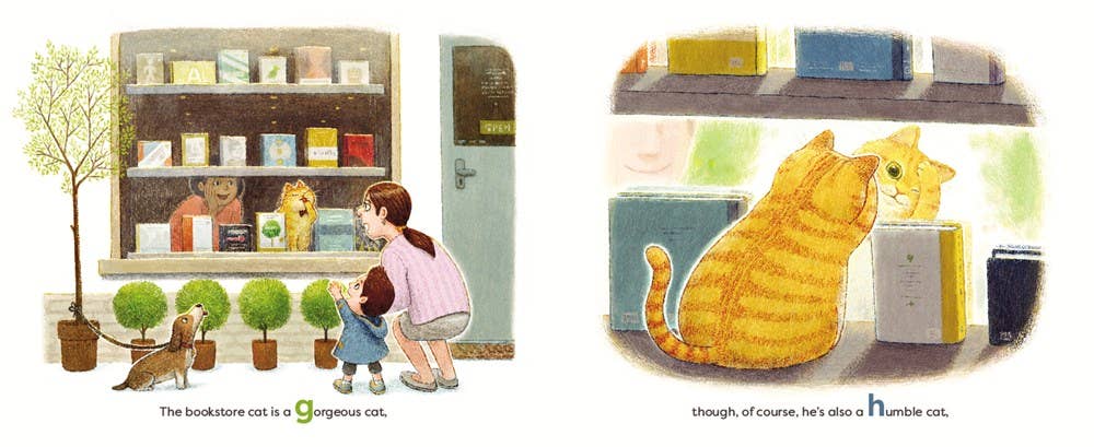 The Bookstore Cat