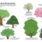 Woodland Book
