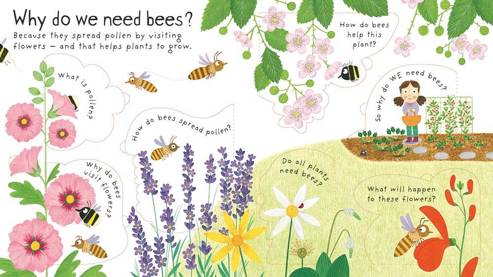 First Questions and Answers: Why do we need bees?