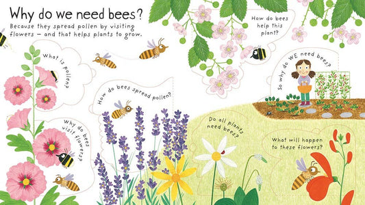 First Questions and Answers: Why do we need bees?