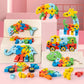 Montessori & Educational Wooden Puzzle Toy- Assorted